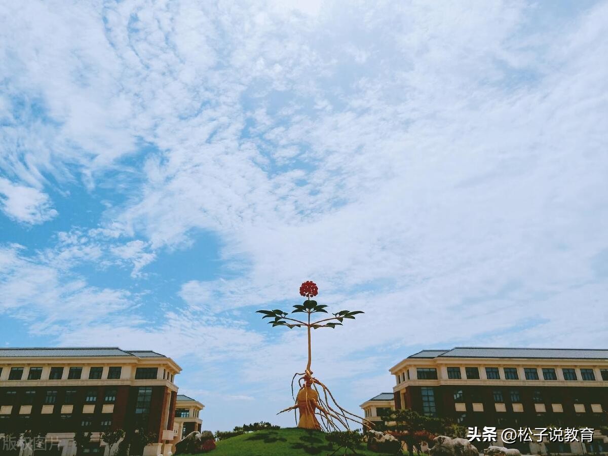 中国十大最好中医药大学,中国最强的几所中医药大学