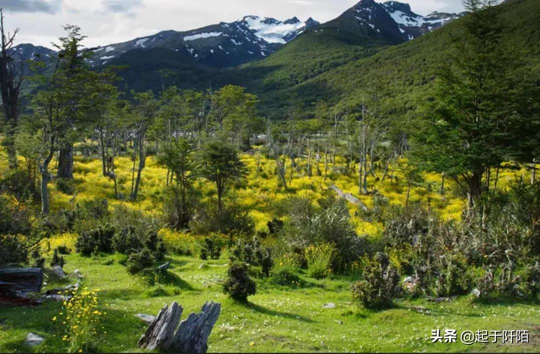 如今的阿根廷现状,南美洲第二大经济体