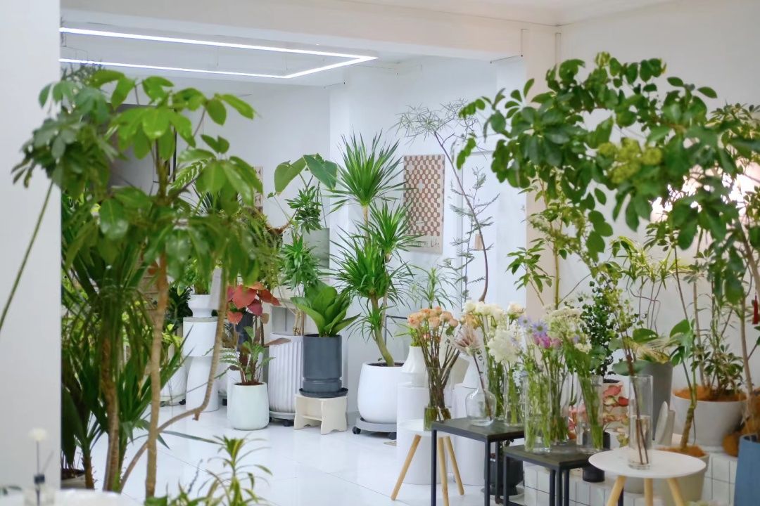 如何开新式花店,如何做一家高端花店