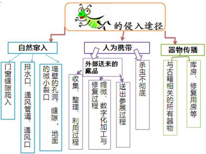 书籍上有虫子怎么办,书籍中的虫子是什么
