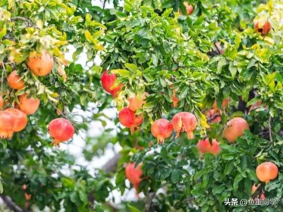 五月十一是什么日子,五月十一是吉祥日子吗