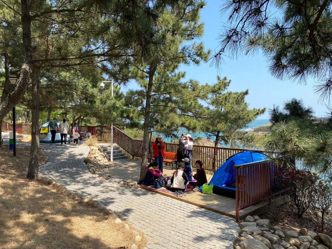 春天里的第一场露营安排,春天的第一次露营开始了