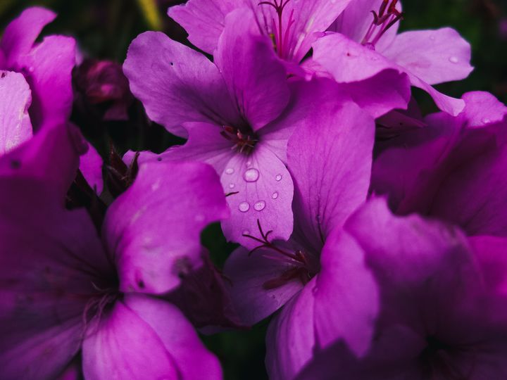 描写春天梅花的优美句子摘抄,描写校园春天早晨的优美句子