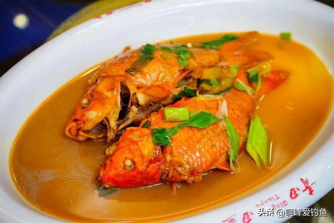 肉质金黄的鲤鱼是什么养出来的,鲤鱼什么品种好养又好看