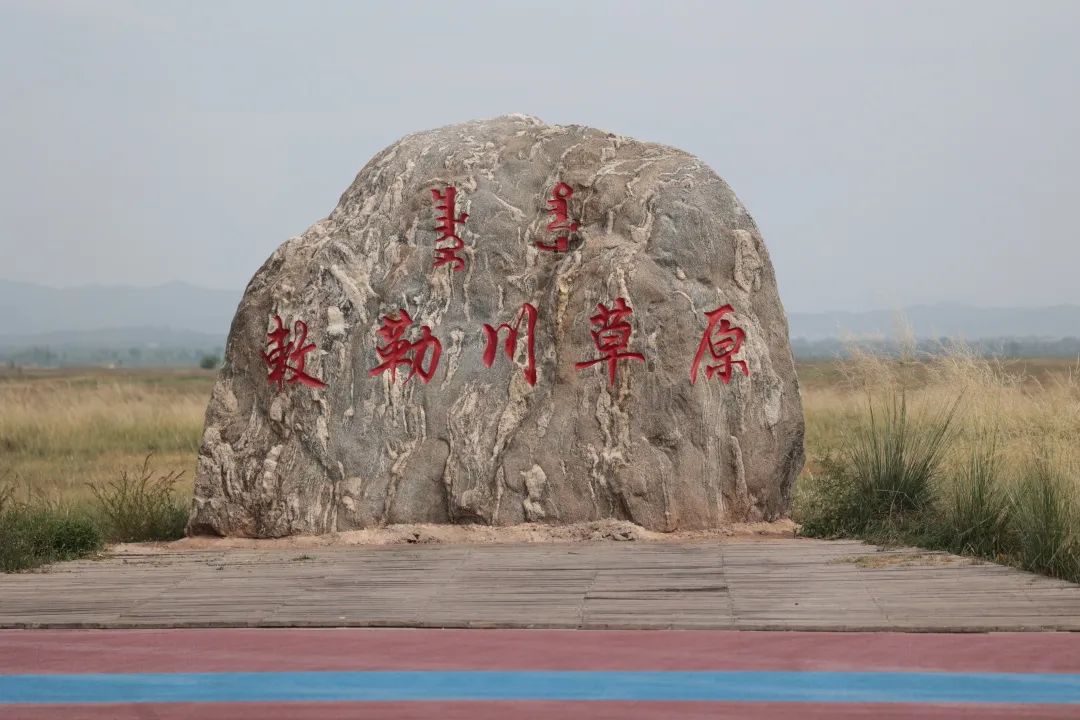 我宣布，烧卖和公厕是我在呼和浩特的心头好