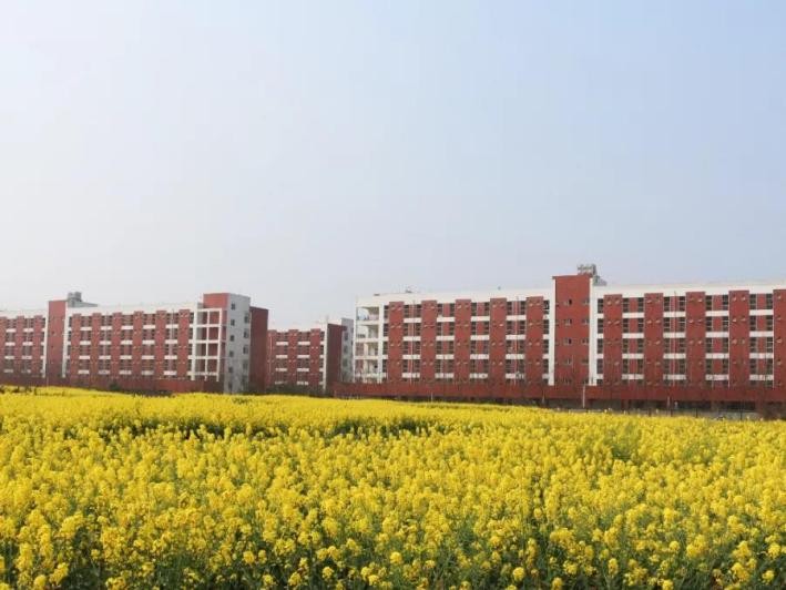 成都风景最美的大学,成都高颜值高校