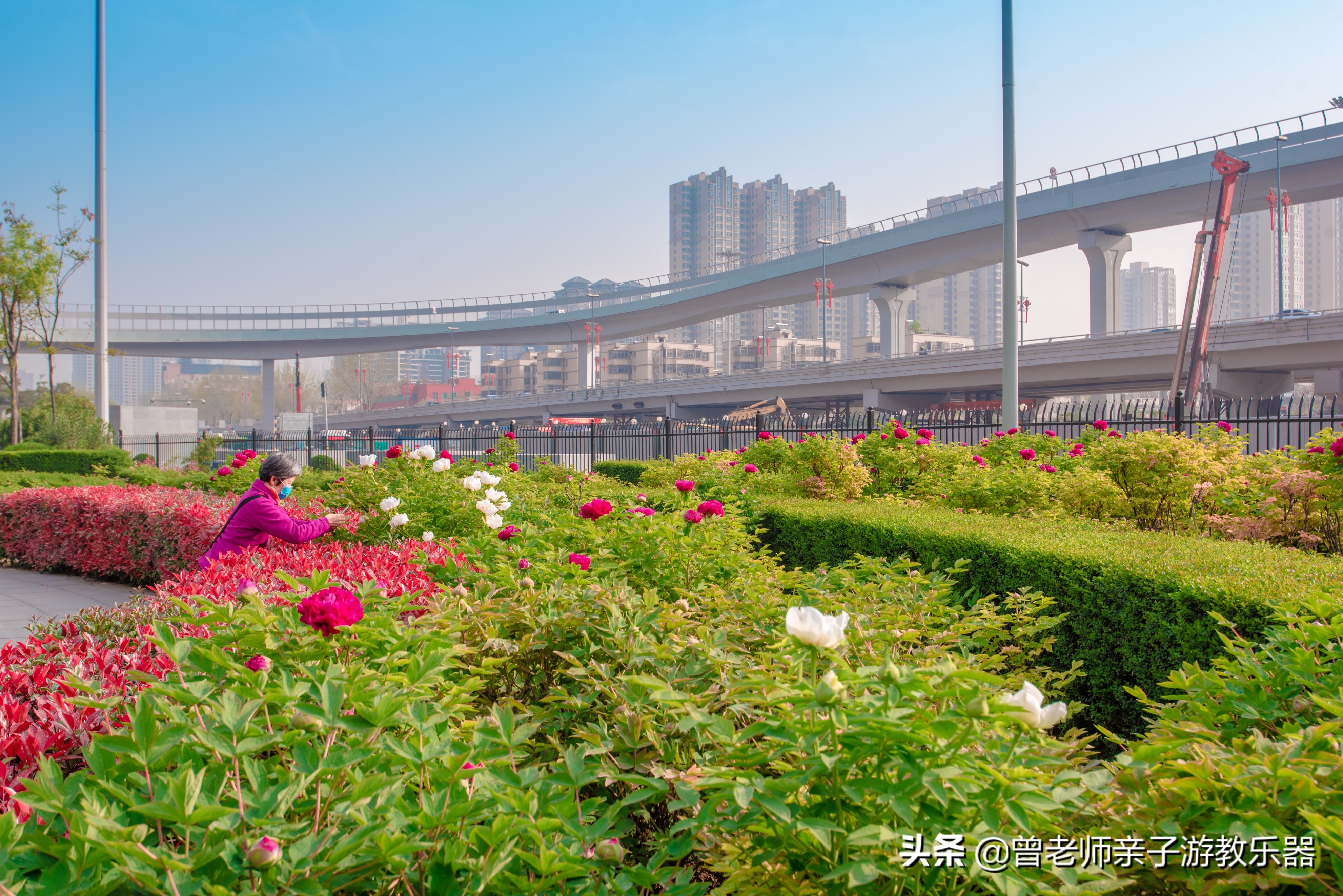 2022西安遛娃一日游的绝佳去处,2022年春节西安遛娃去哪玩最合适