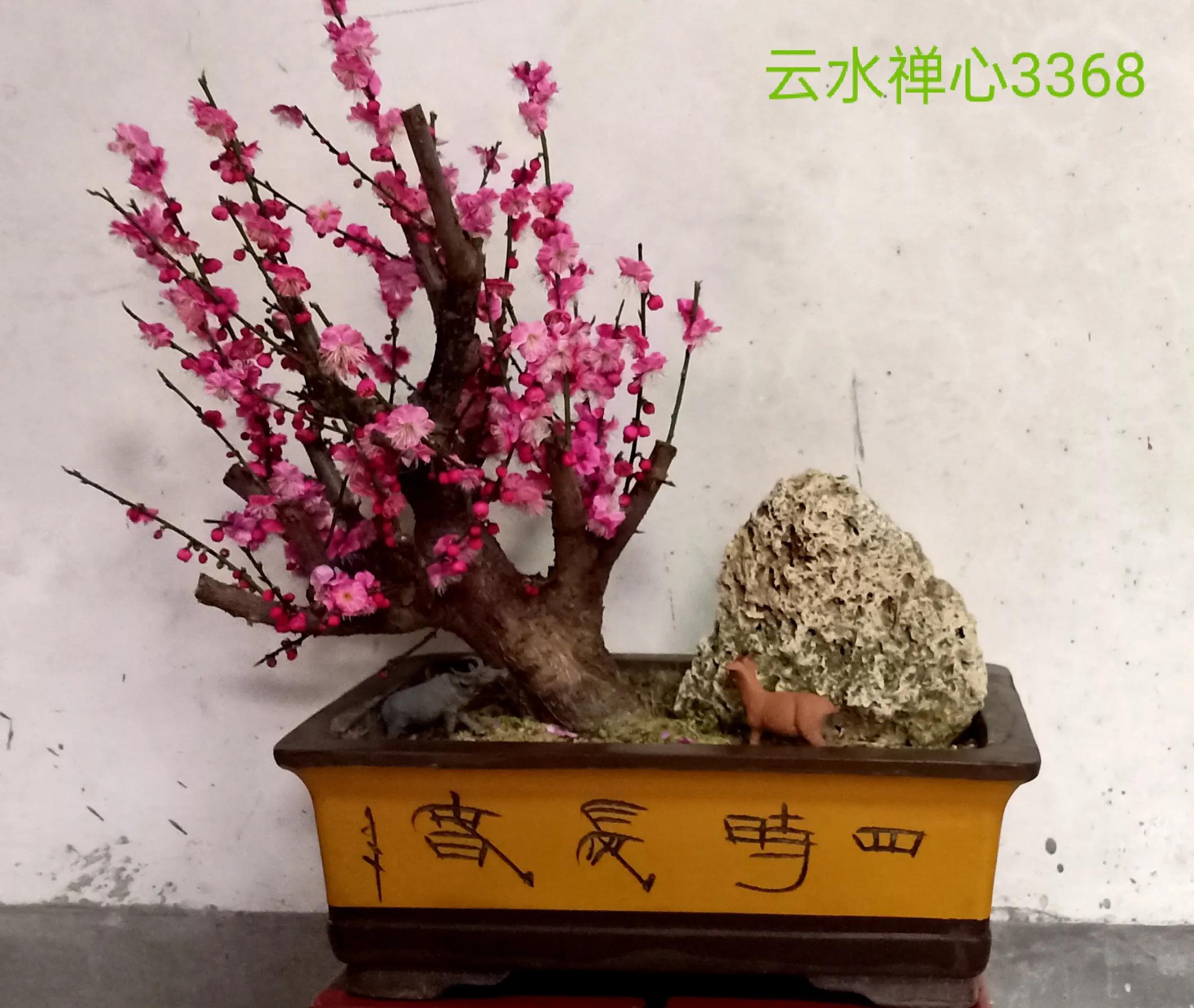 开心每一天,开心每一天的经典句子