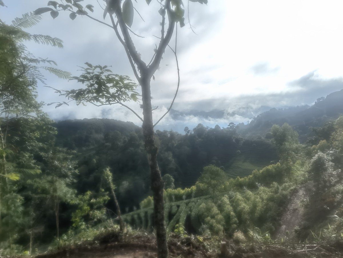 西双版纳翡翠比大理便宜吗,西双版纳被称为绿宝石