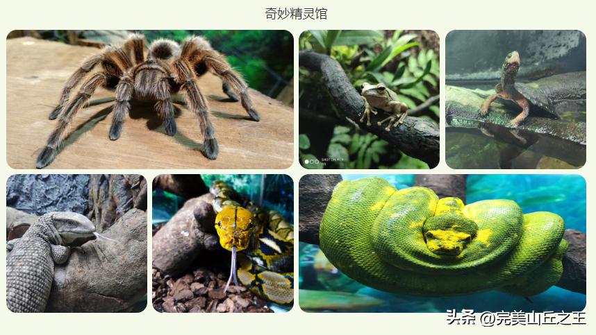 广州5a景区正佳广场,广州5a景点排名大全