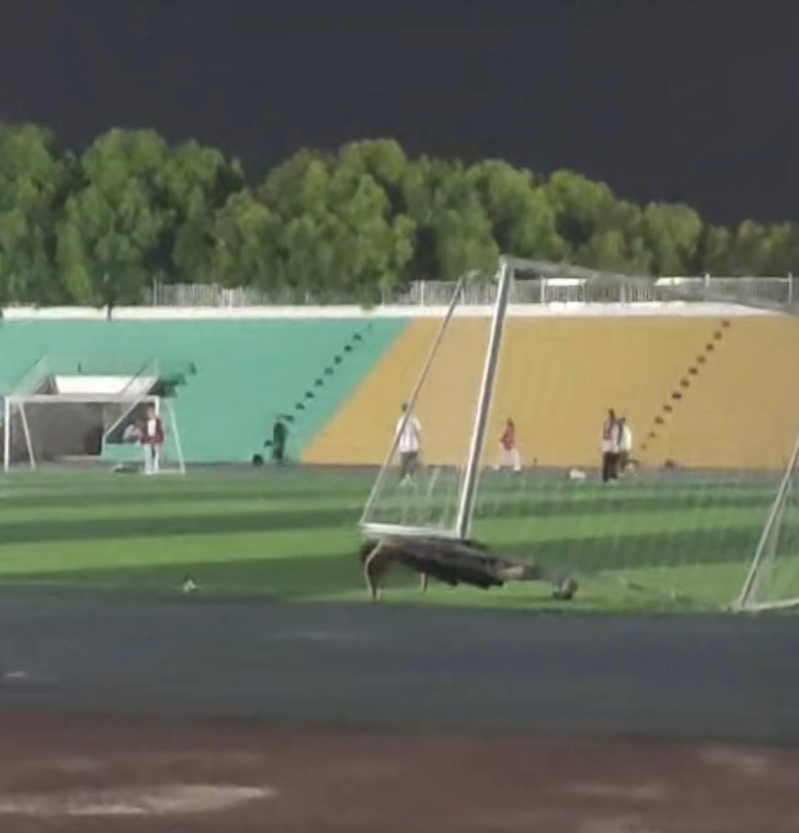 大学生操场扛球门做俯卧撑超然,大学生操场扛球门做俯卧撑原视频