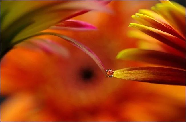 100幅经典摄影作品欣赏,100幅精品摄影图