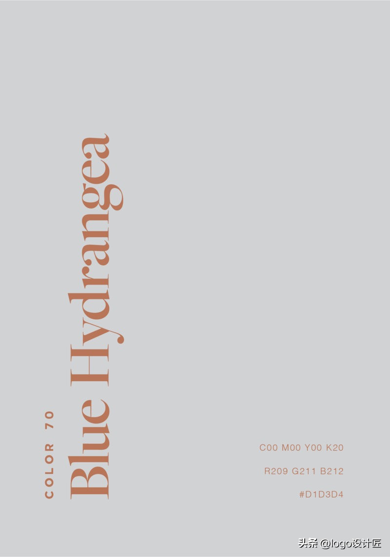 文字背景色彩搭配高级感,文字和背景的色彩搭配