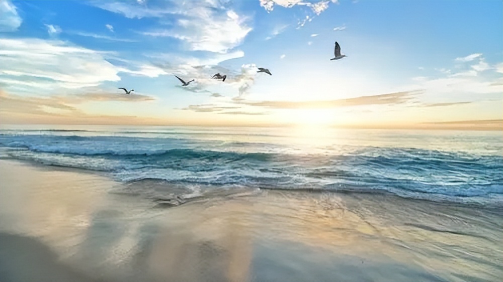 厦门鼓浪屿游玩攻略五日游 (厦门鼓浪屿3天旅游攻略)