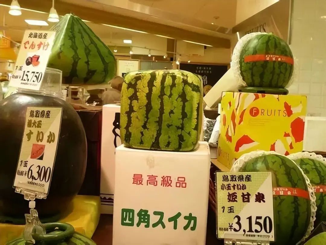 蜜雪冰城店中最好喝的饮品,蜜雪冰城茶饮系列