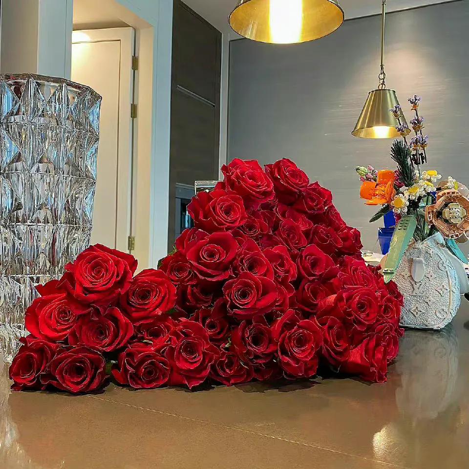 玫瑰花如何醒花教程,醒玫瑰花的正确方法