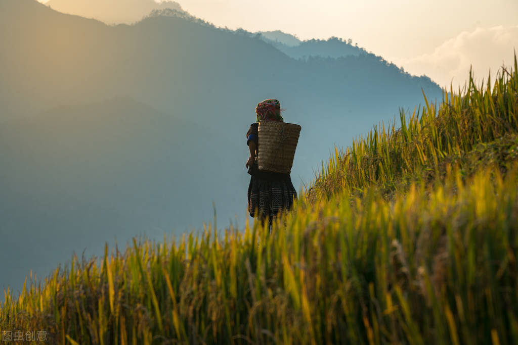 雅思口语p2逻辑,雅思口语p2好建议