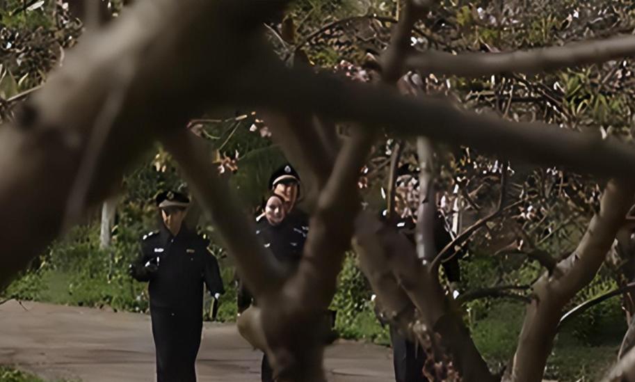 橘园连环性侵案,湖南连环性侵案