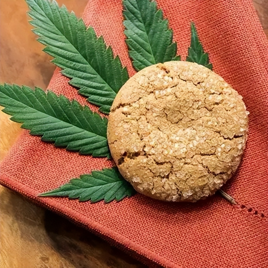 留学不能触碰的红线,国外留学被欺负怎么办