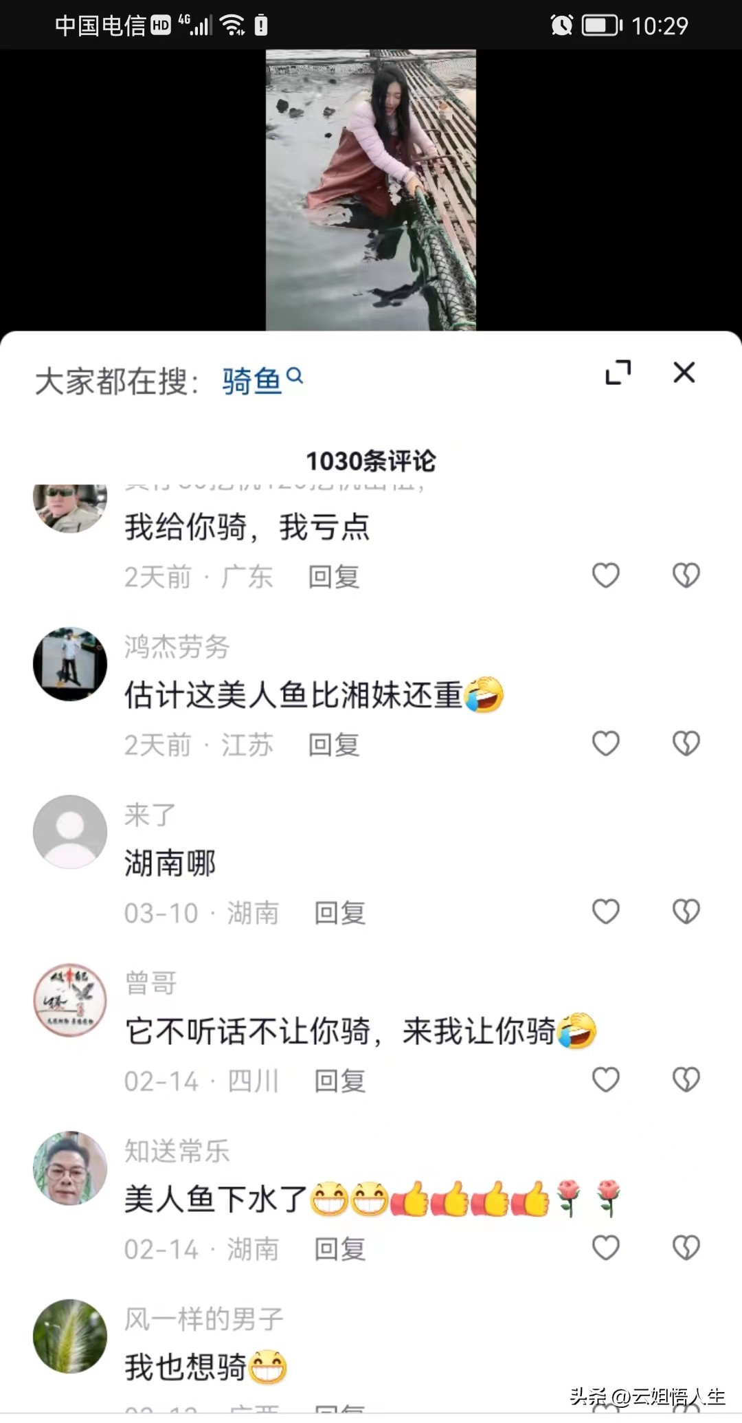 湖南女子喂养500斤大鱼当作宠物,女子养500斤大鱼当宠物视频