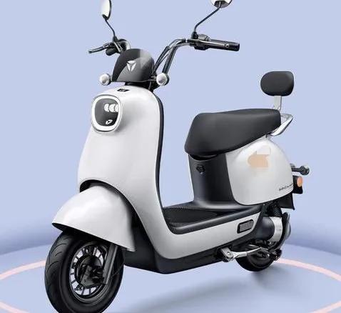 宝岛电动车能上路吗,能上牌不要驾照的电动三轮车