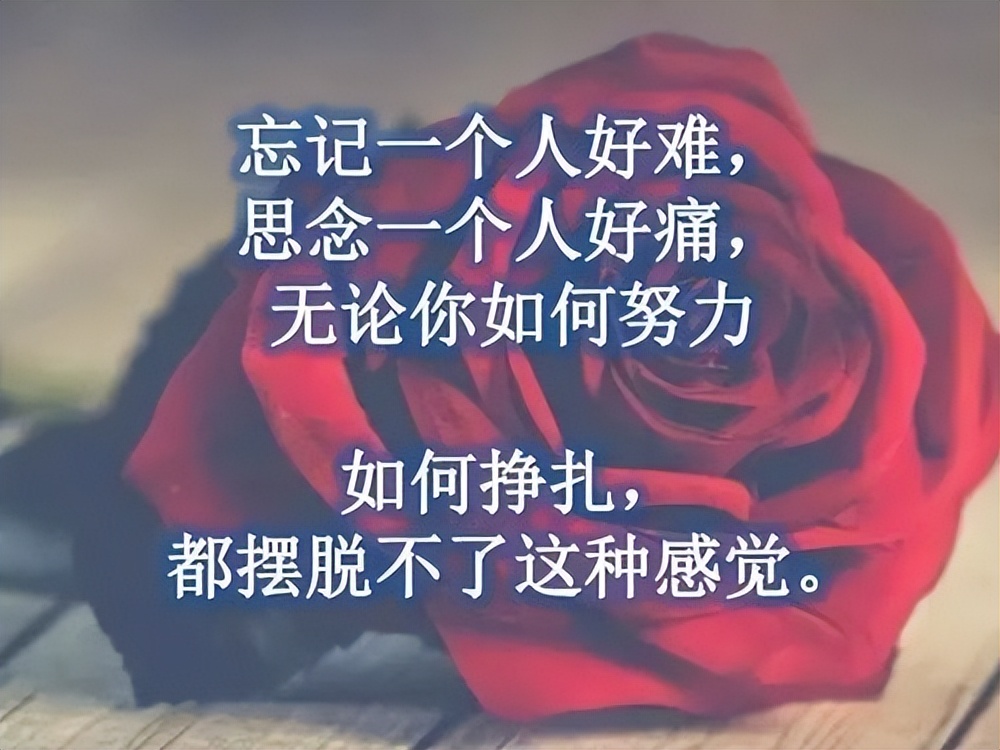 怎样快速忘记一个人的长相,怎么快速忘记一个深爱的人