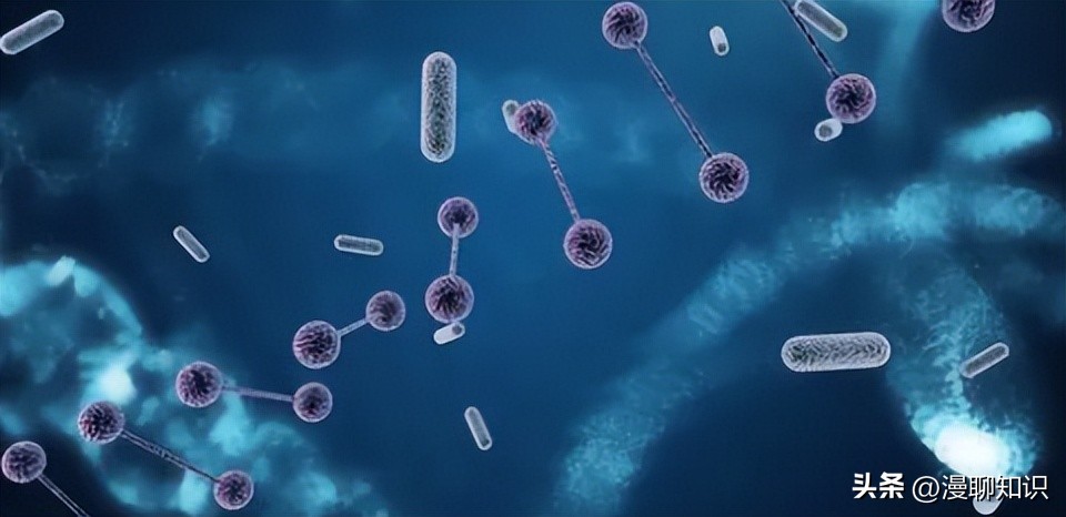 细菌是种类最广泛的畜禽微生物，如何将病毒与之分离