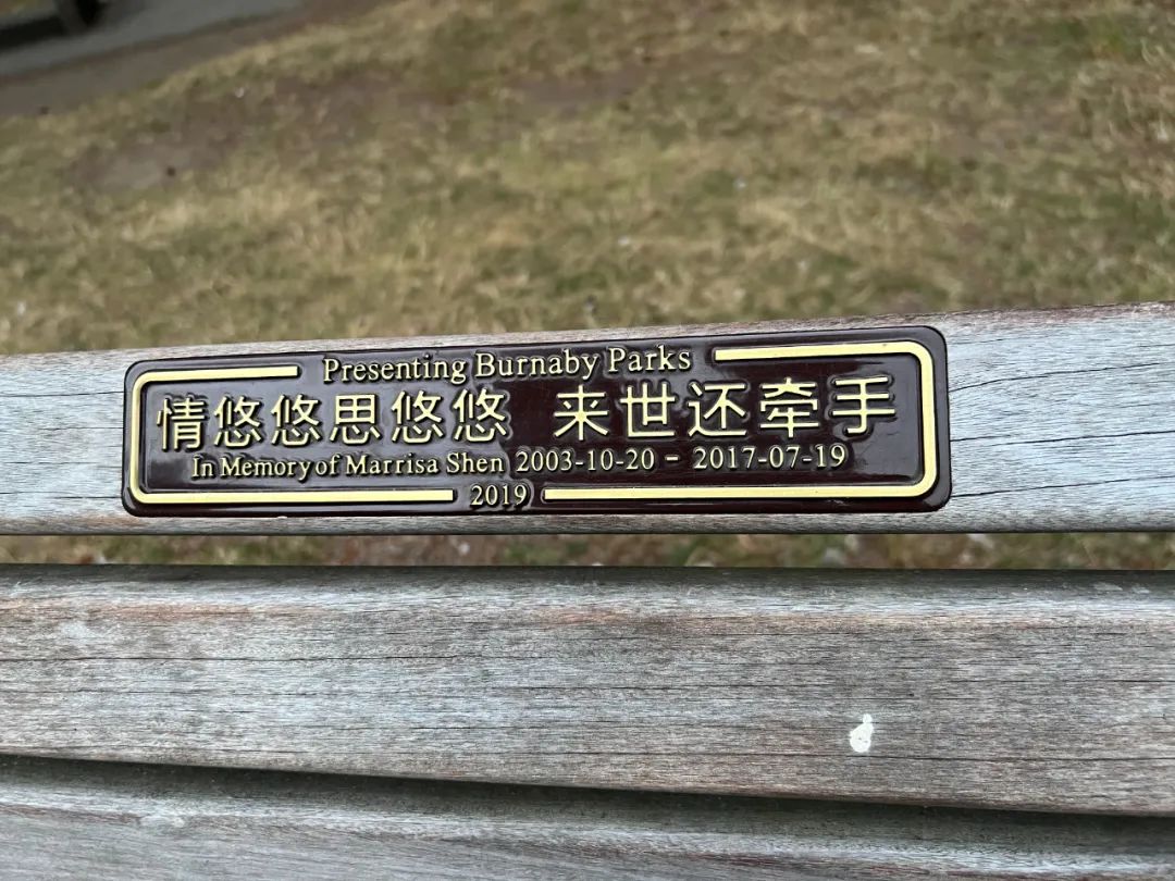 加拿大本拿比中央公园的纪念椅和无法安息的申小雨