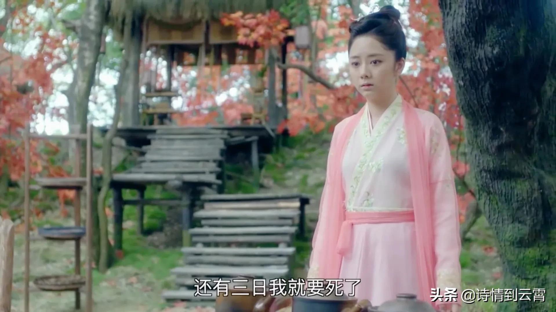 锦衣之下今夏知道陆绎被打入牢中,锦衣之下陆绎得知真相