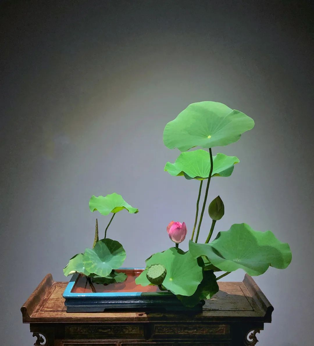 日本顶级禅意插花荷花,日式荷花插花