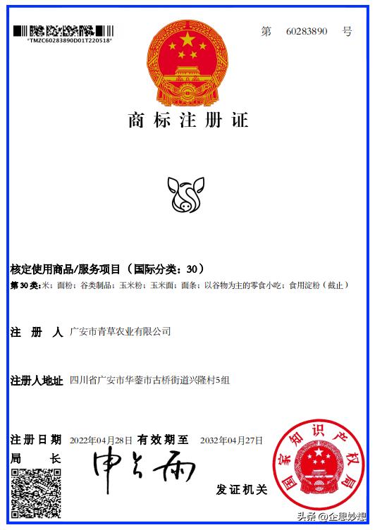 注册商标logo应该怎么设计,图形logo和商标注册有什么区别