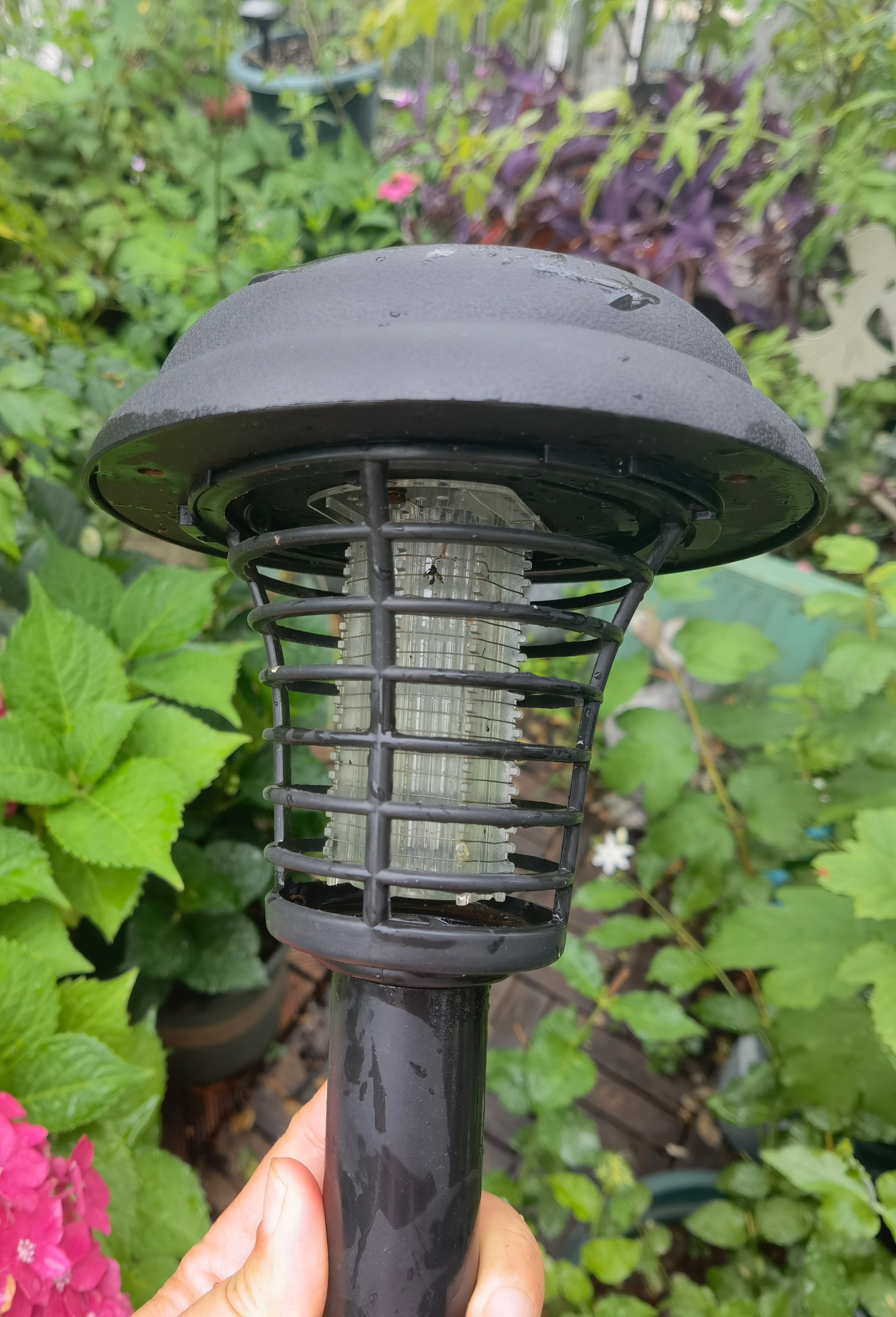 夏日驱蚊的好物分享,夏日家庭必备驱蚊好物