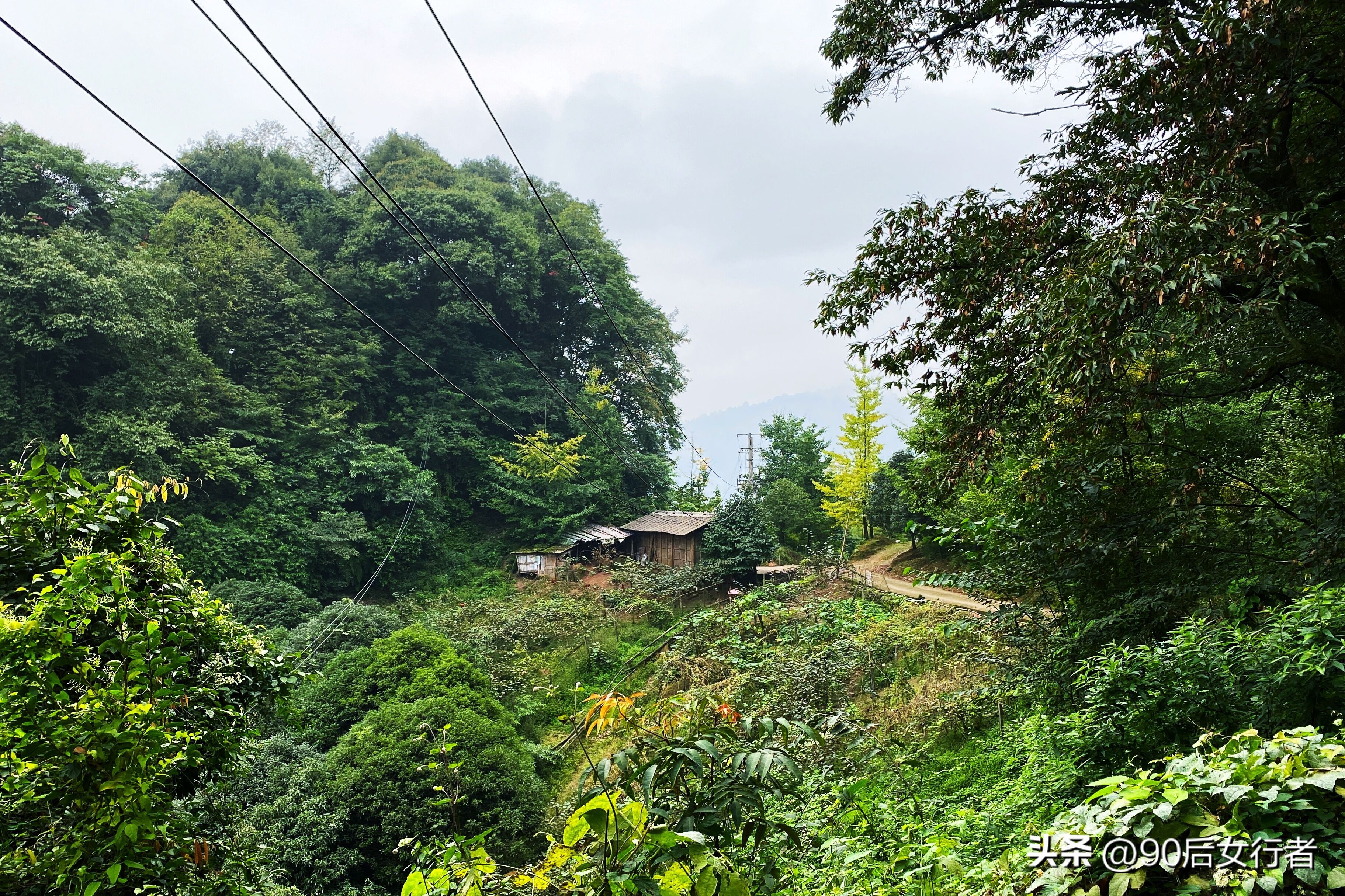 走进山间的小路感受大自然,成都深山老林旅游最好去处