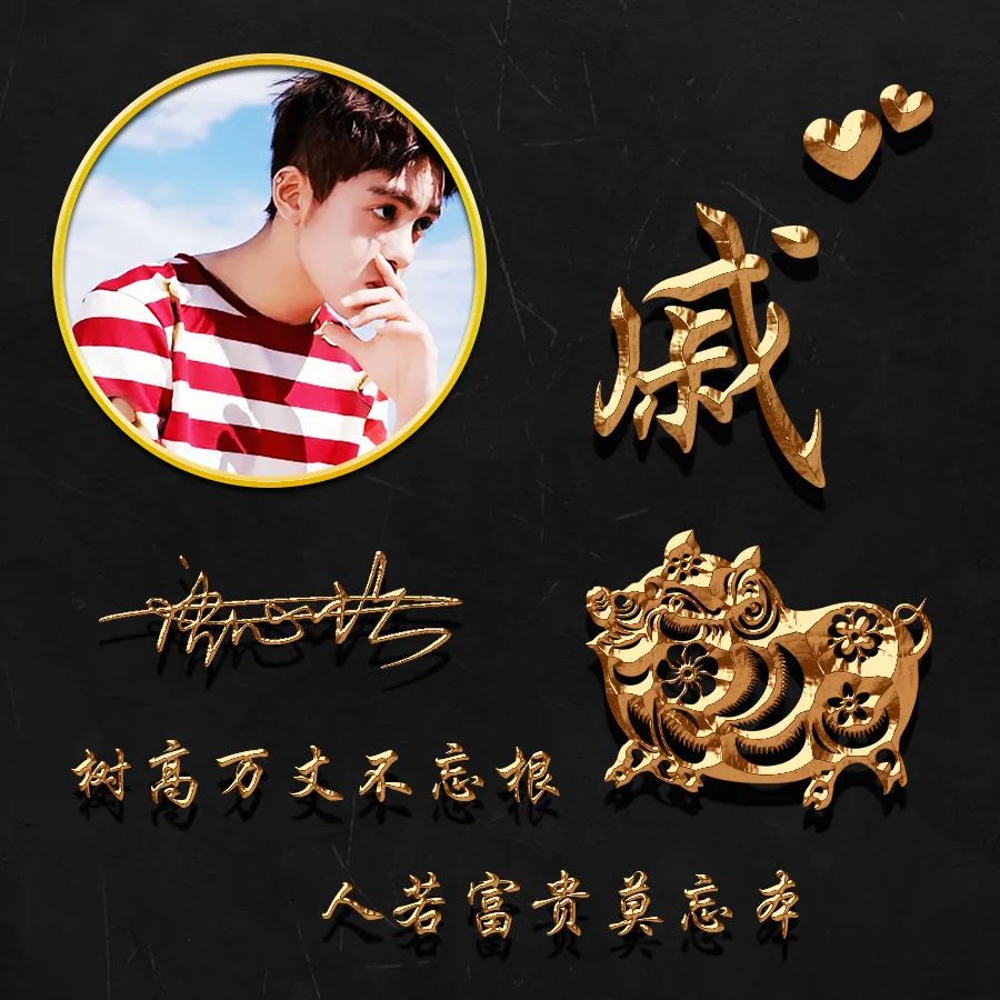 晒一晒你的好看的姓氏头像,姓氏夏微信头像十二生肖3d立体