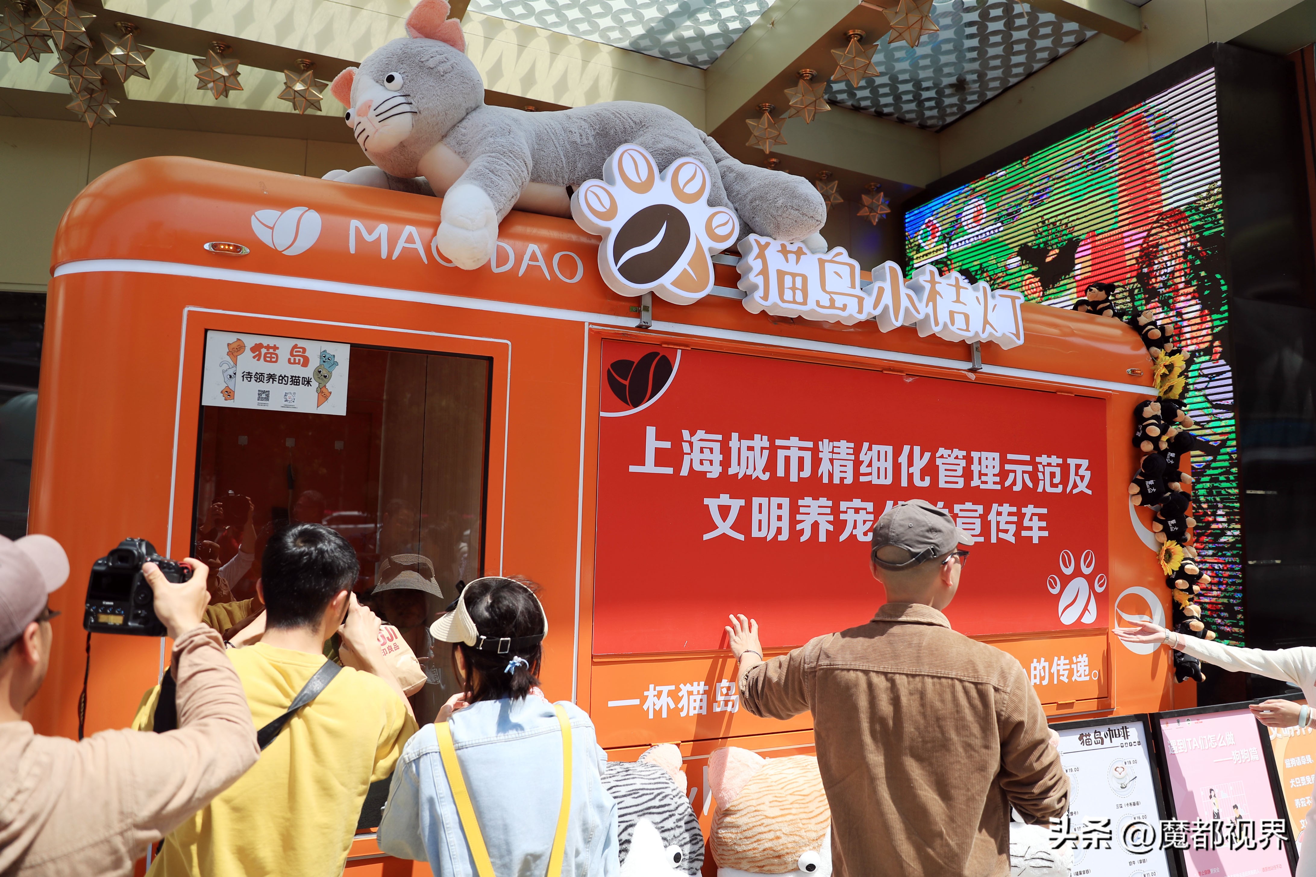 上海市文明养宠嘉年华,上海首届文明养宠嘉年华