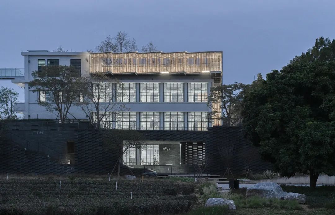 中国茶申遗成功吗,中国茶申遗成功44项名单