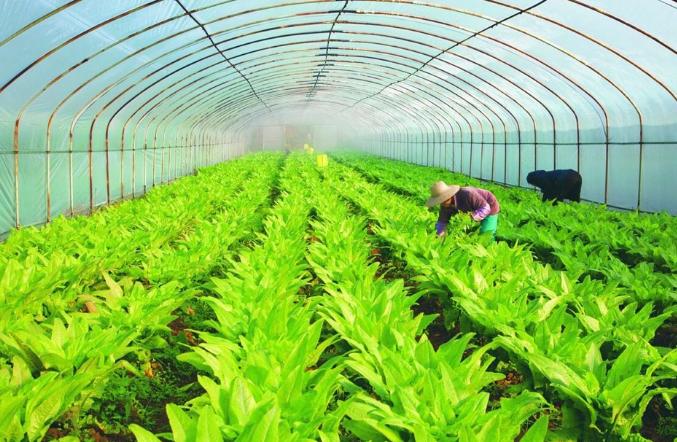 农民工这个名字会被改成什么名字,农民工的新名字叫什么