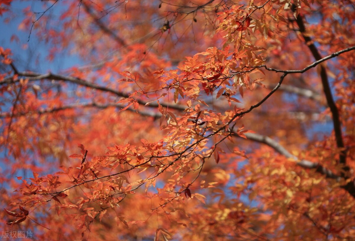 国学经典之三国志导读第六十讲,国学经典导读第二版
