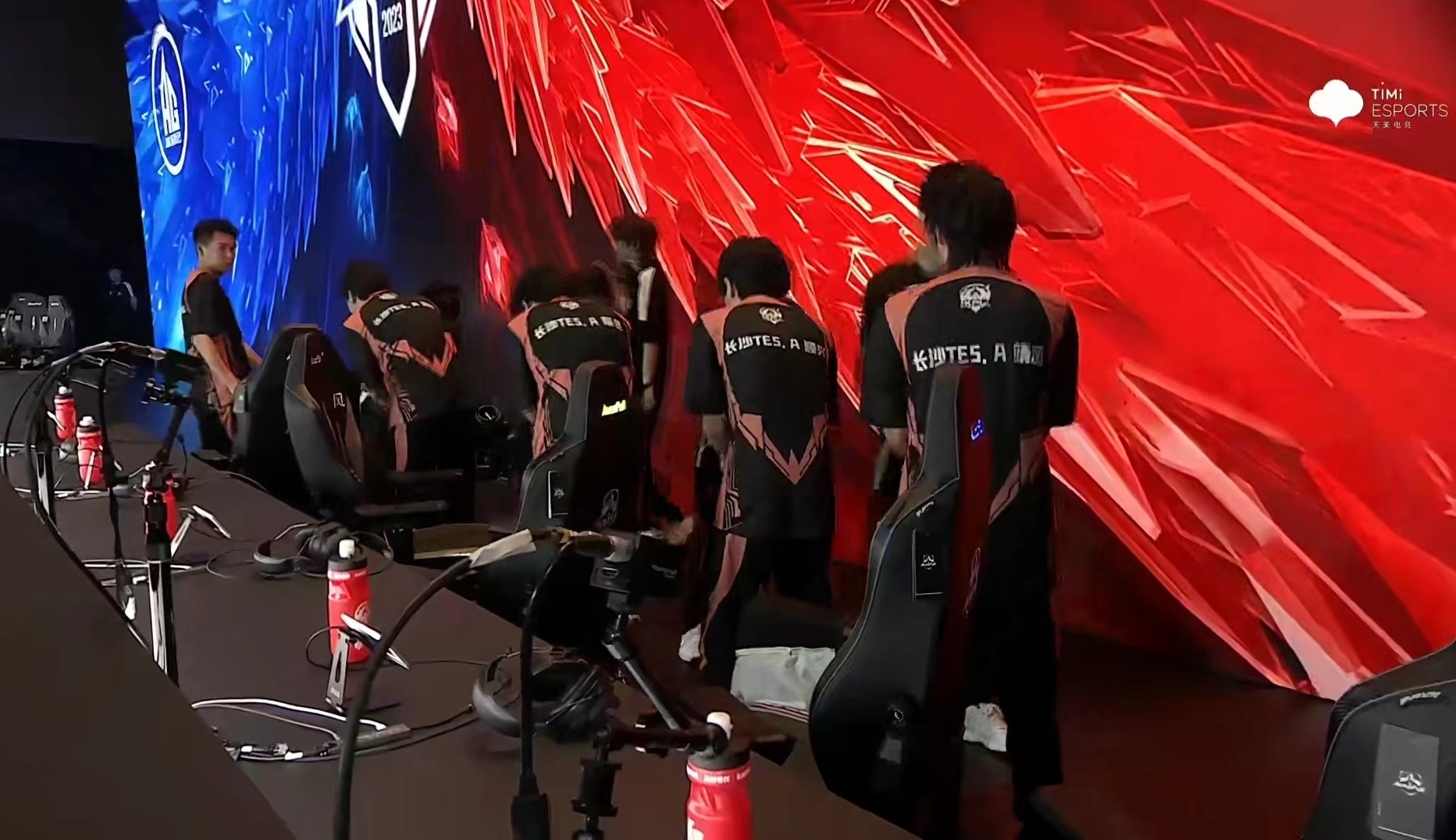 cat直播谈ag决赛失败原因,ag对战dagcat赛后采访