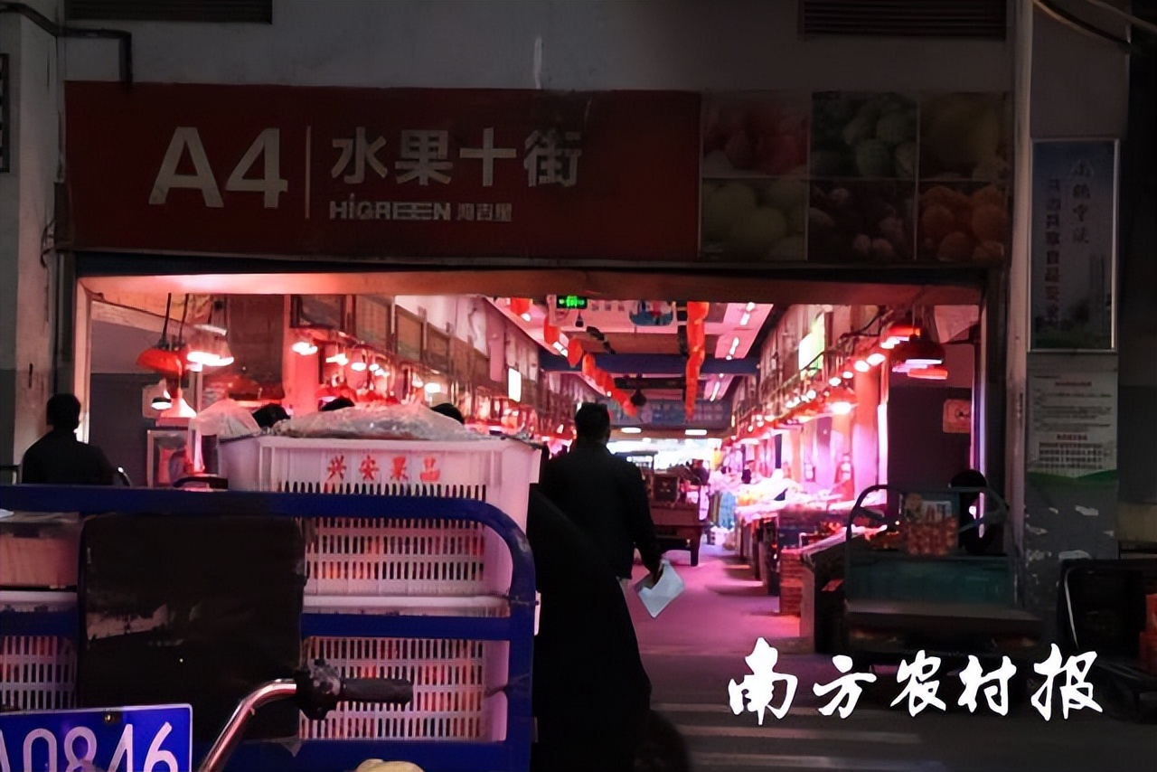 深圳海吉星菠萝一斤多少钱,平湖海吉星菠萝批发