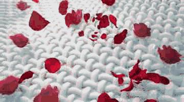 这些国货品牌你还以为是外国的吗,这些假洋牌你还在买吗