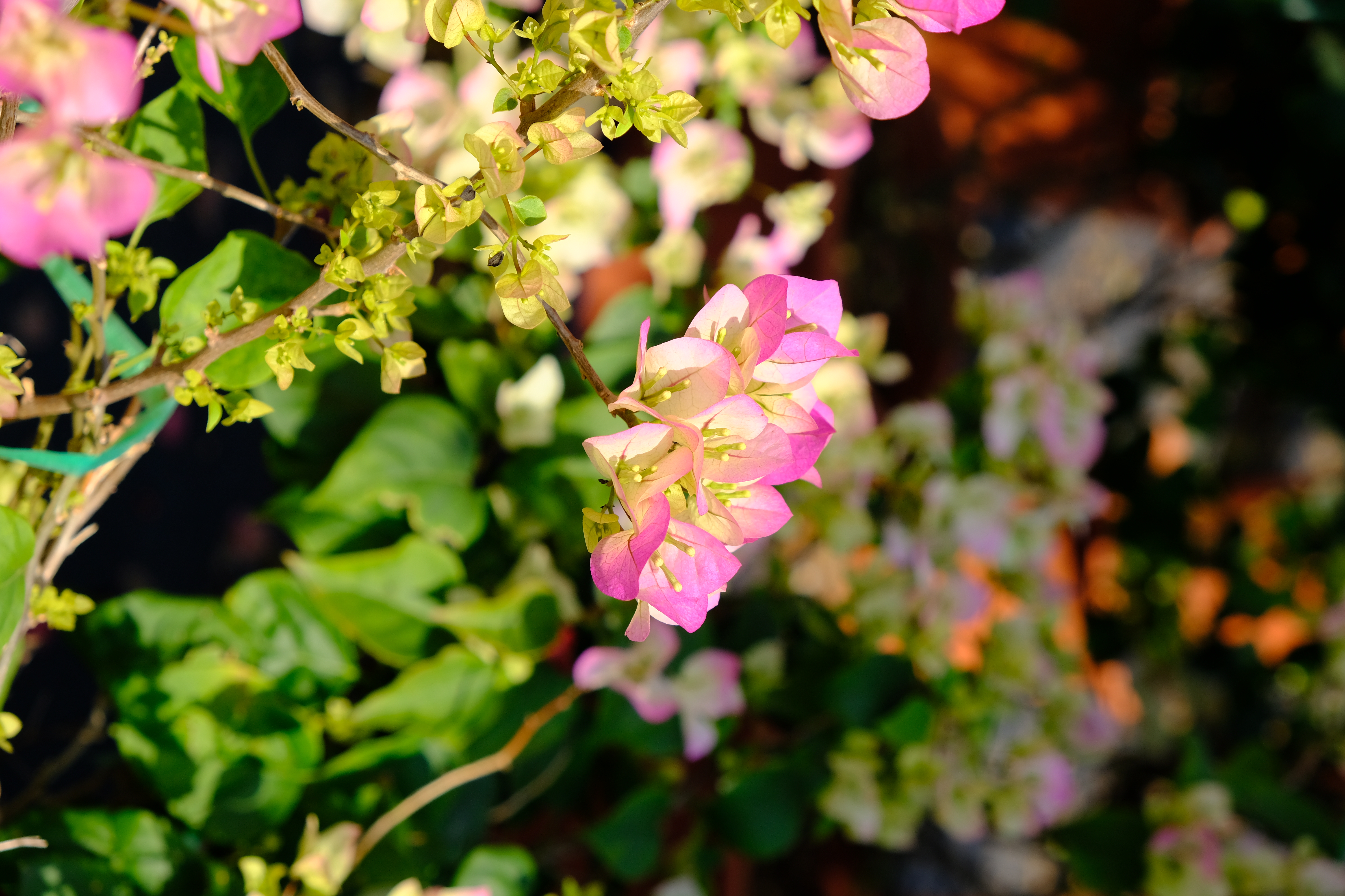 富士xt3配1855镜头拍摄效果,富士xe3套机镜头