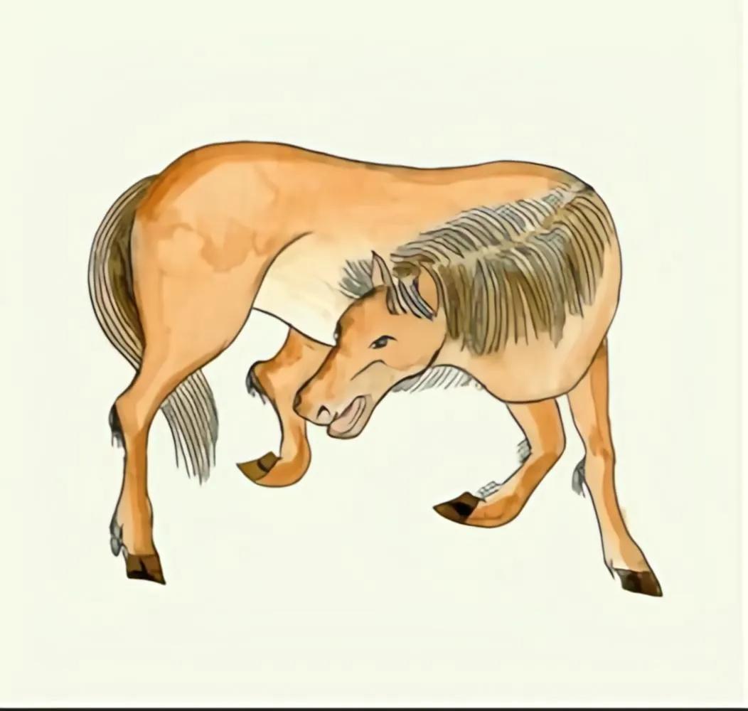 山海经·海内南经,山海经海内南经主要讲了什么