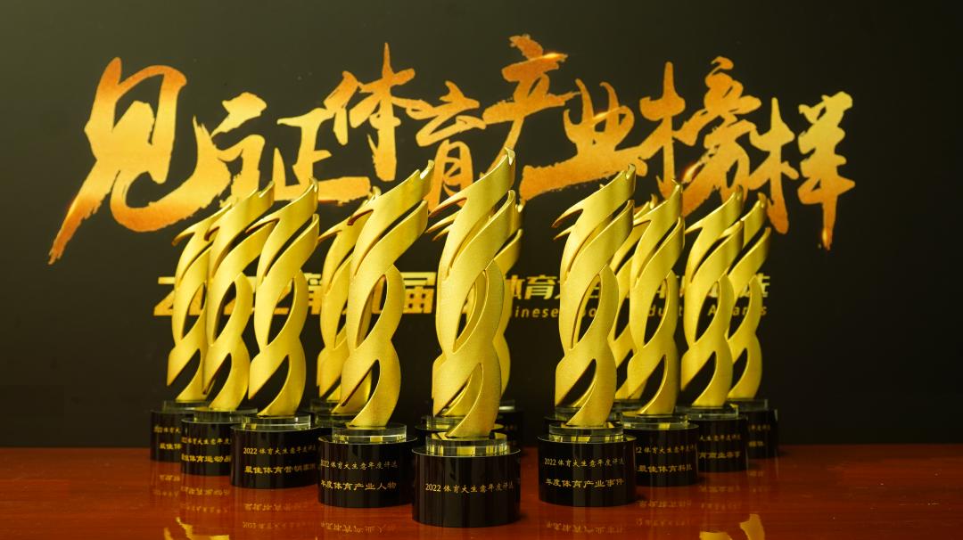 体育大生意年度奖项,第15届大广赛获奖结果