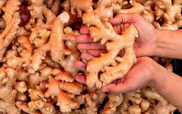 买姜注意事项,买生姜怎么吃最好