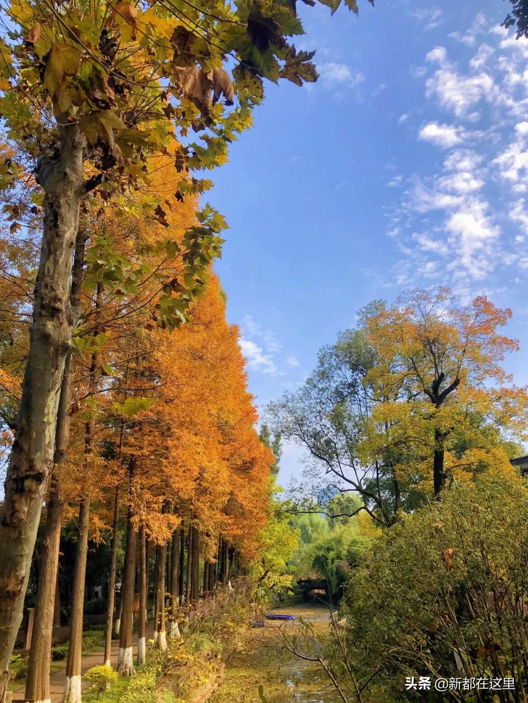邂逅香城，在新都必做的50件小事~
