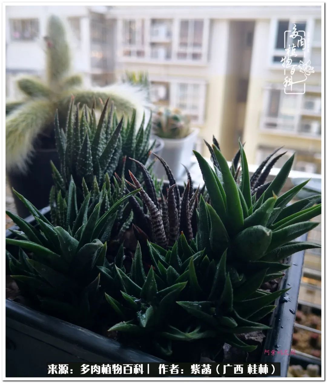 酷暑里的关爱，如十二卷般透亮绵长