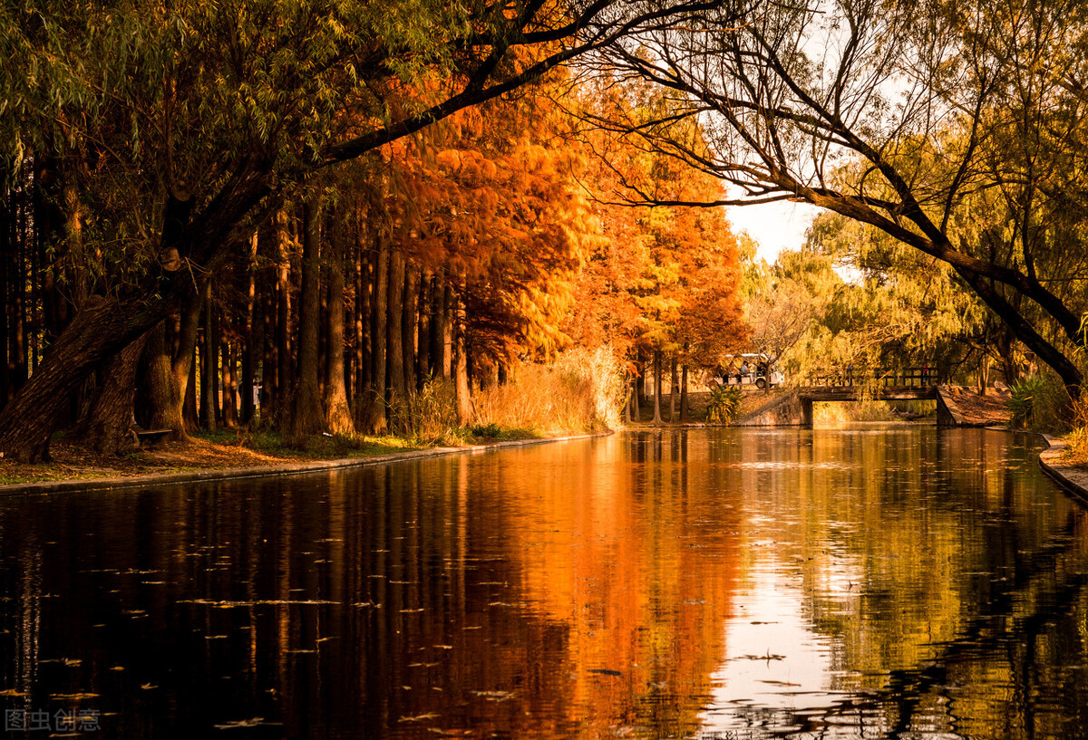 秋日上海好去处,上海秋日风景