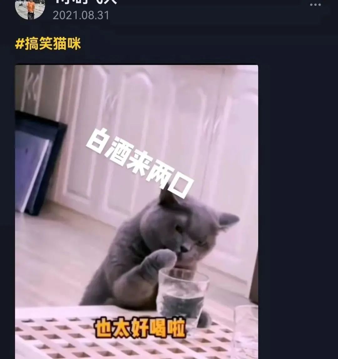 千万不要给猫吃的食物,这7种食物不要给猫吃