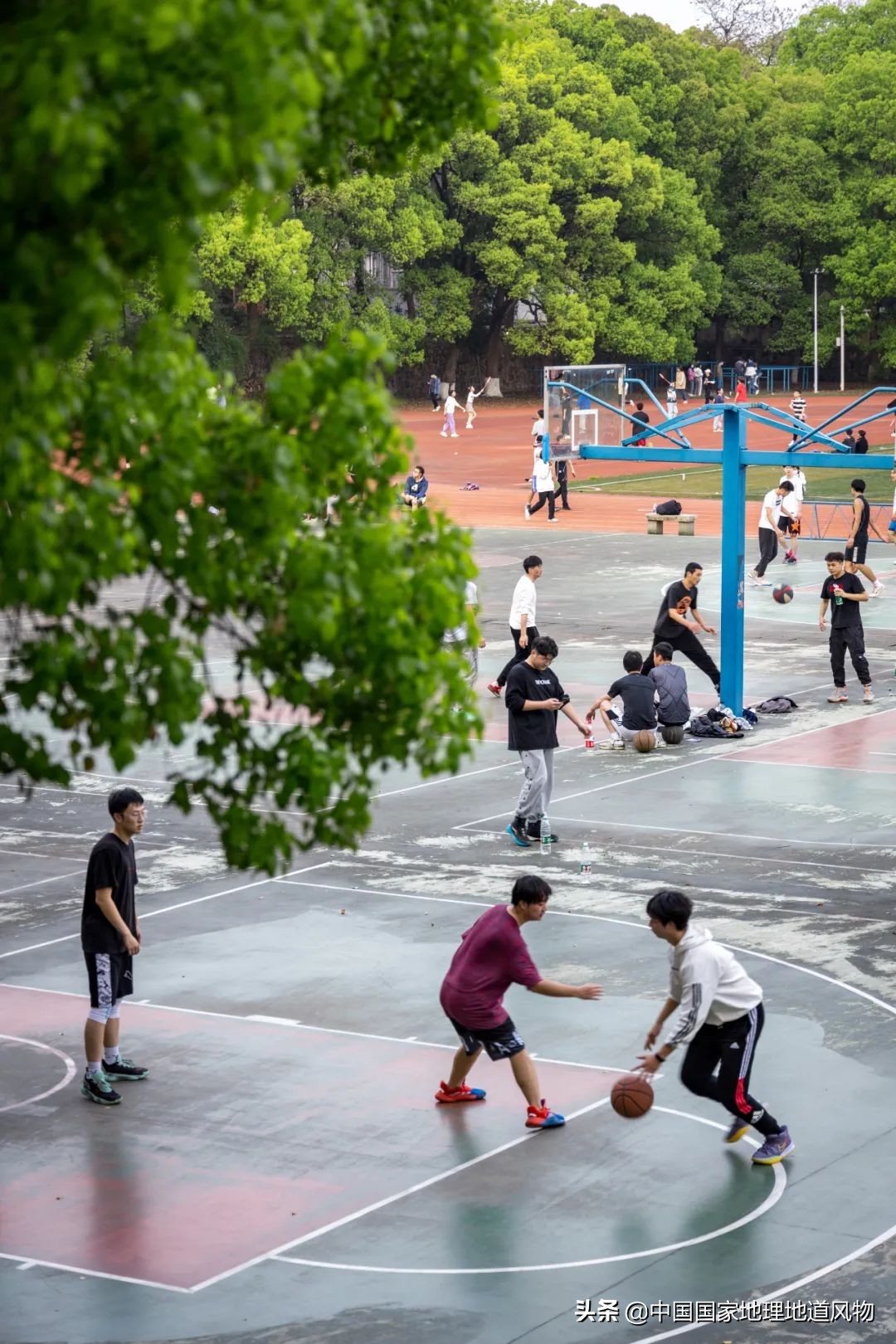 中南大学中南矿冶学院,中南是哪个大学